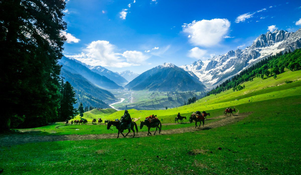 SRINAGAR, PAHALGAM, HOUSEBOAT & GULMARG