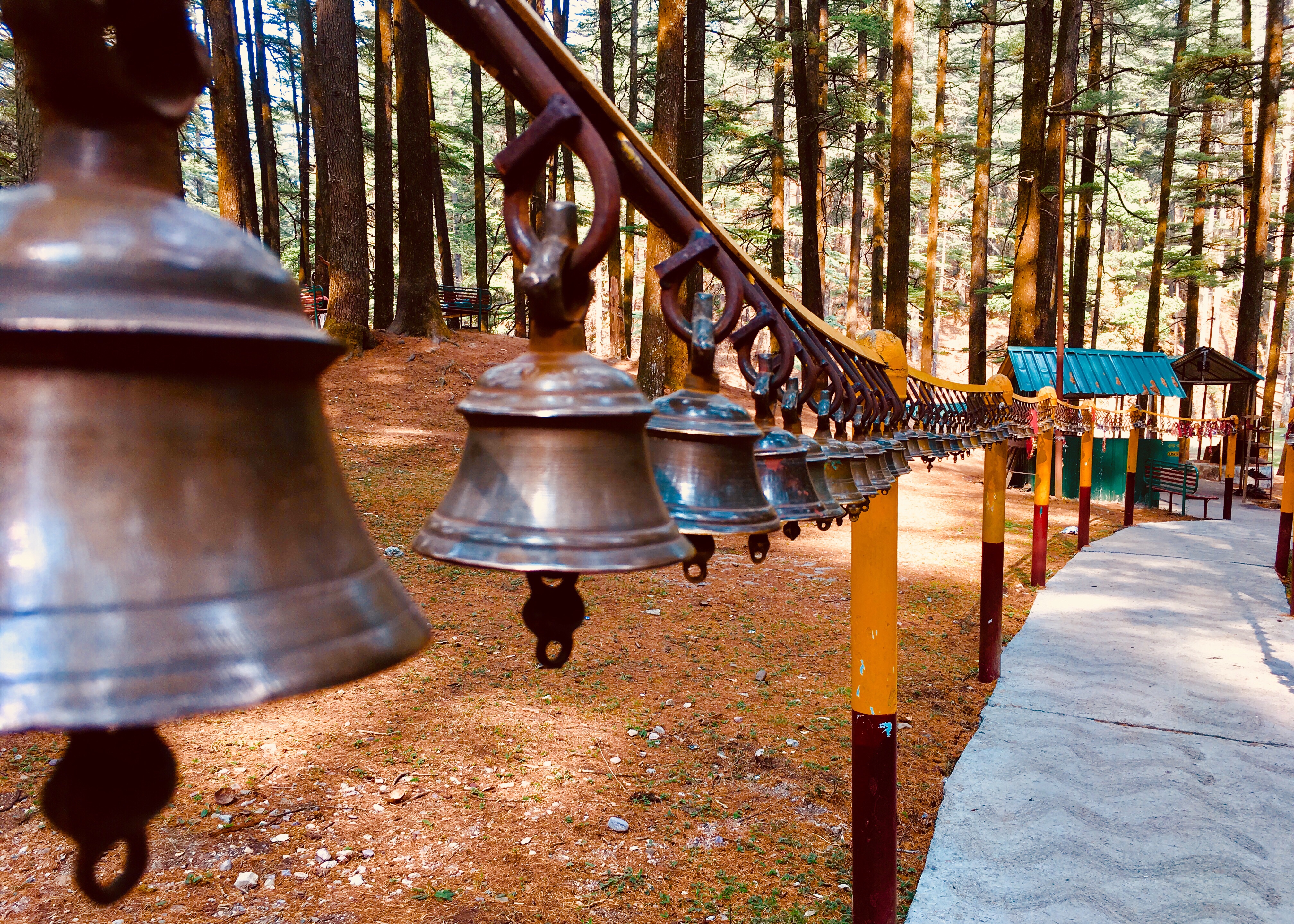 Delhi – Mukteshwar – Binsar – Jageshwar–  Kausani –  Ranikhet – Manila– Delhi